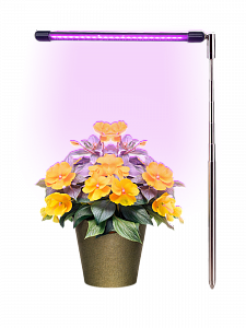 Фитолампа для растений с таймером на телескопической ноге Огонек OG-LDP16